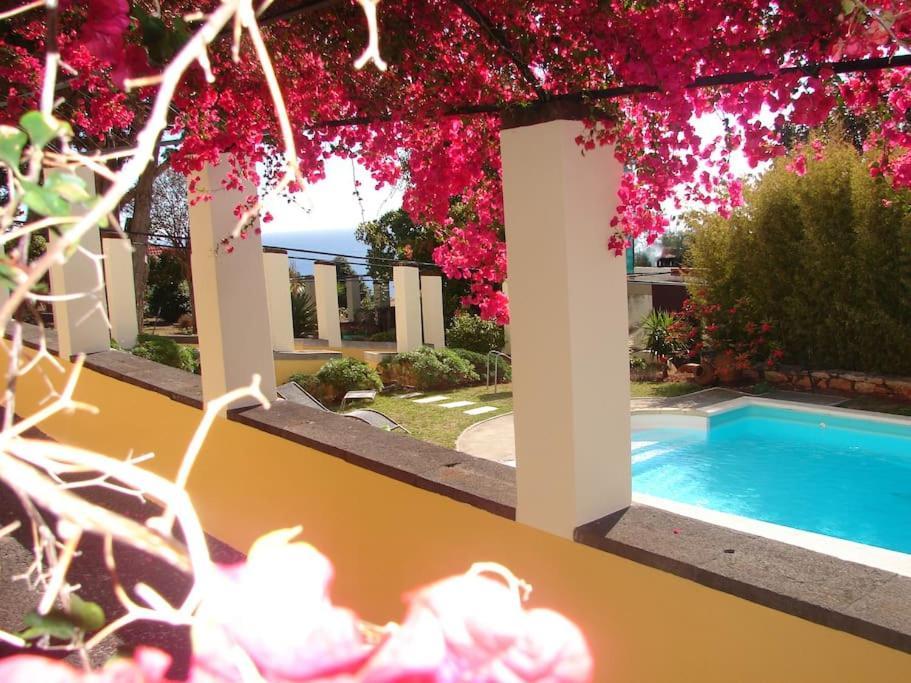Private Pool Apt. With Great View Funchal  Exterior foto