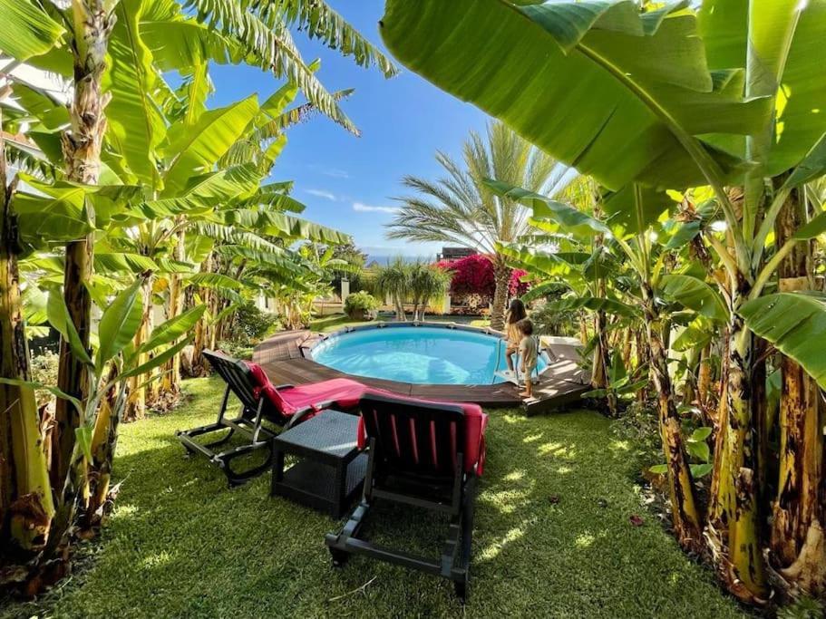 Private Pool Apt. With Great View Funchal  Exterior foto